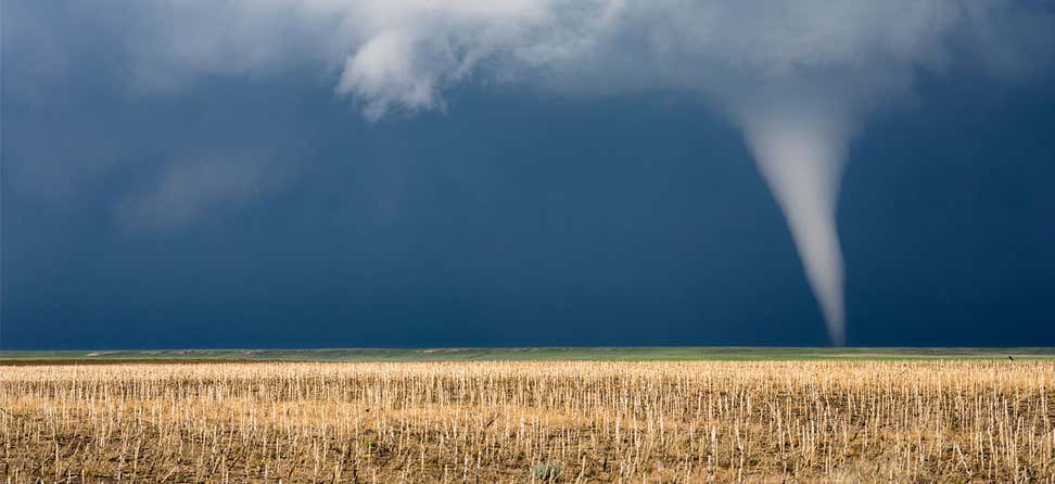 A frightening, long-distance view of a tornado spout in a cornfield.