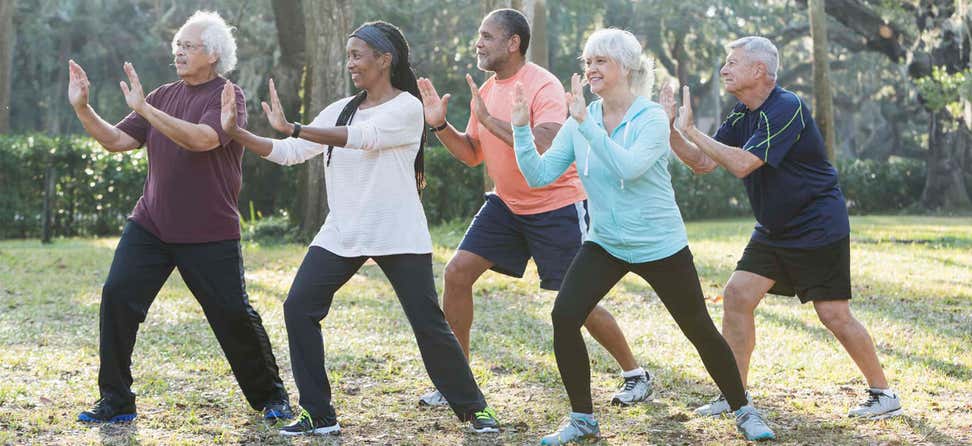 A multi-ethnic group of seniors are taking Tai Chi class outdoors.