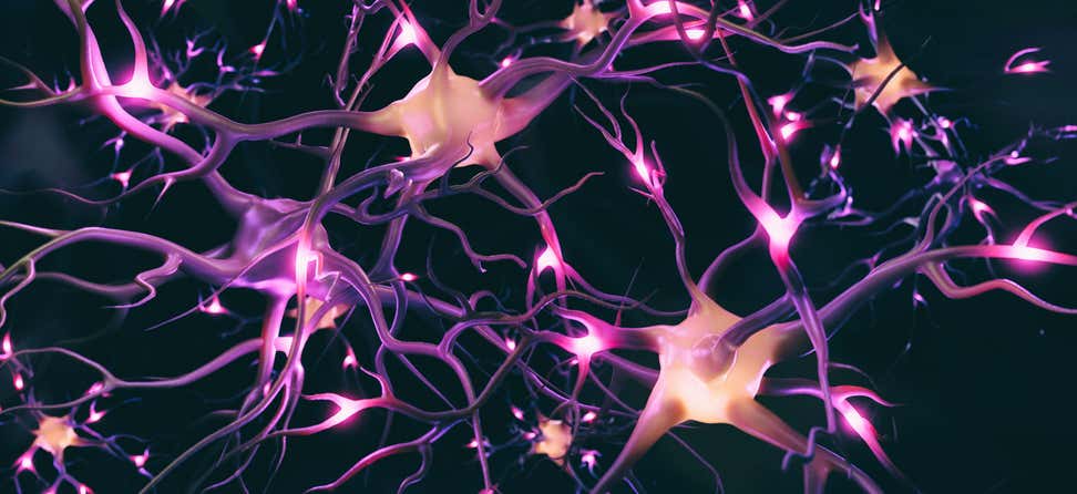 An image of a brain neuron system highlighted, indicating that the neurons are firing.