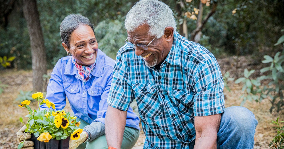 A senior retired Black couple is enjoying time together in their garden.